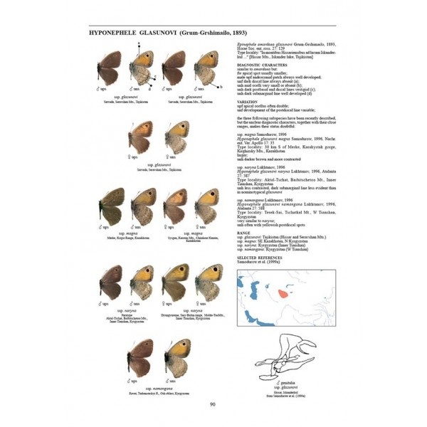 Guide to the Butterflies of the Palearctic Region - Satyrinae part IV