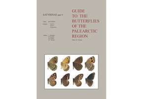 Guide to the Butterflies of the Palearctic Region - Satyrinae part V