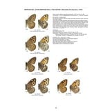 Guide to the Butterflies of the Palearctic Region - Satyrinae part V