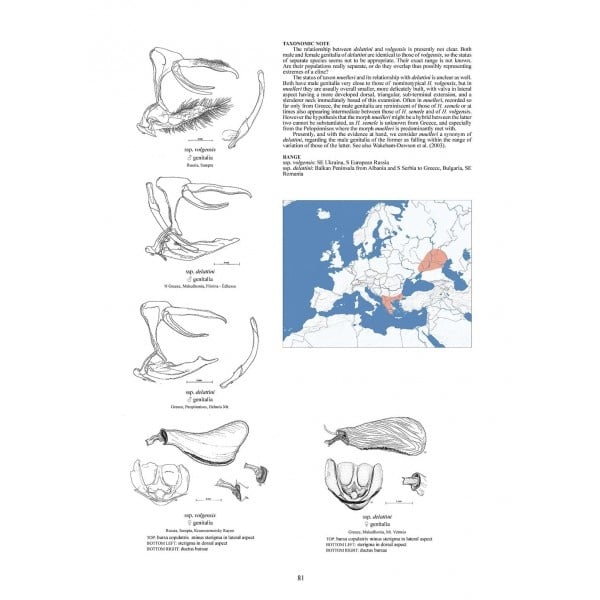 Guide to the Butterflies of the Palearctic Region - Satyrinae part V