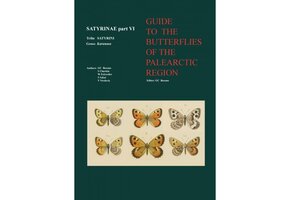 Guide to the Butterflies of the Palearctic Region - Satyrinae part VI