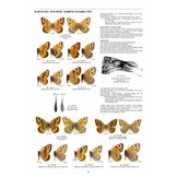 Guide to the Butterflies of the Palearctic Region - Satyrinae part VI