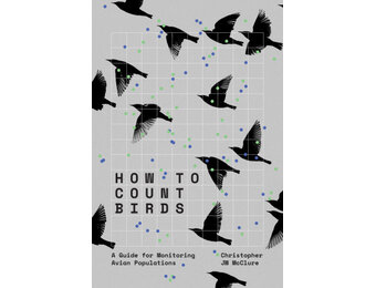 How to Count Birds