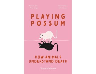 Playing Possum