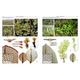 Mosses of Europe - A Photographic Flora (3-Volume Set)