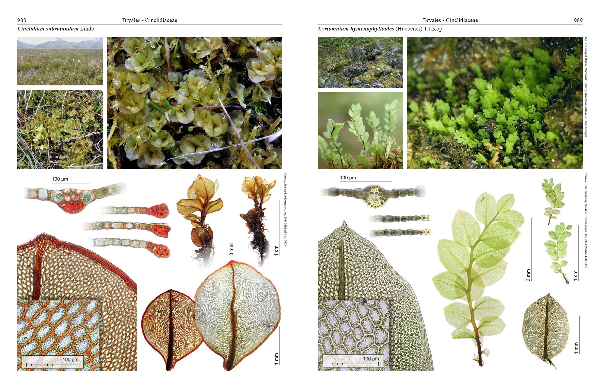 Mosses of Europe - A Photographic Flora (3-Volume Set)