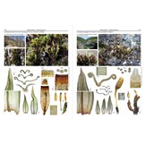Mosses of Europe - A Photographic Flora (3-Volume Set)