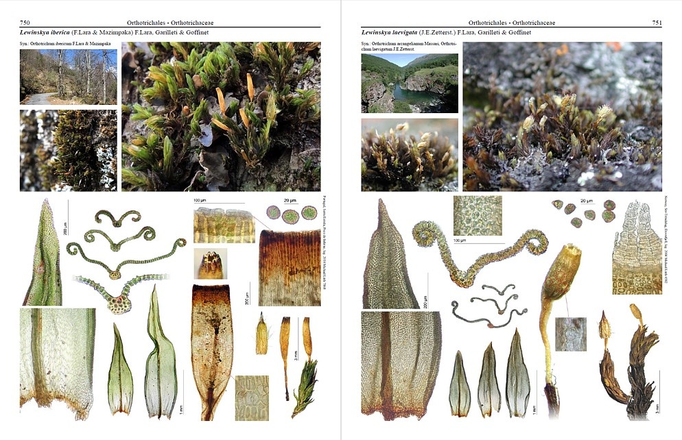 Mosses of Europe - A Photographic Flora (3-Volume Set)