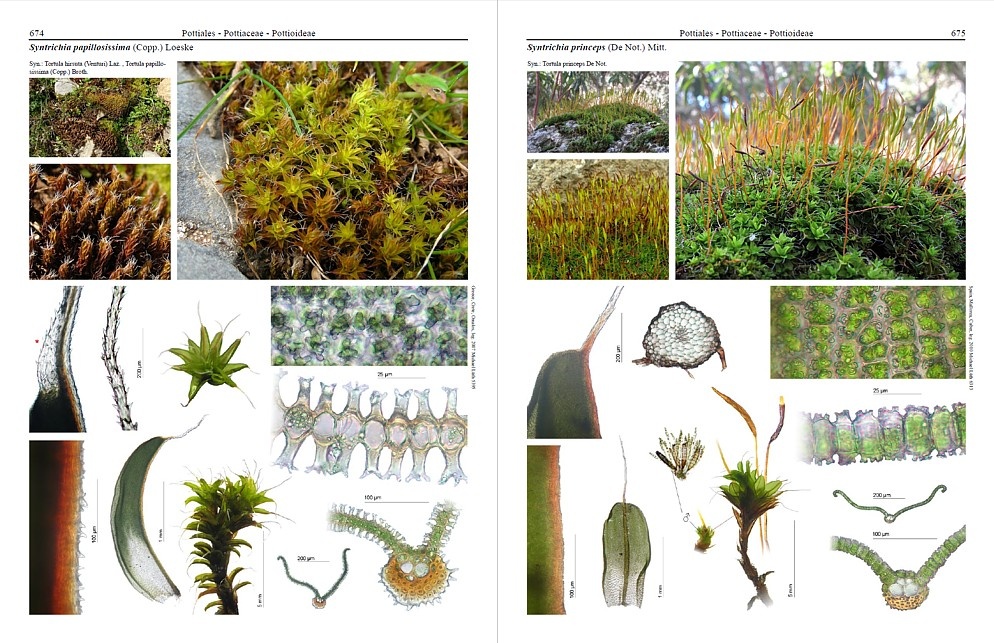 Mosses of Europe - A Photographic Flora (3-Volume Set)