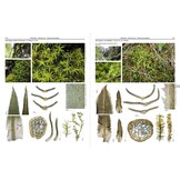Mosses of Europe - A Photographic Flora (3-Volume Set)