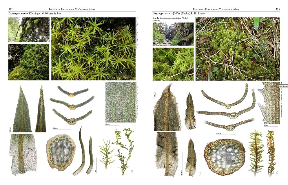 Mosses of Europe - A Photographic Flora (3-Volume Set)