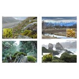 Mosses of Europe - A Photographic Flora (3-Volume Set)