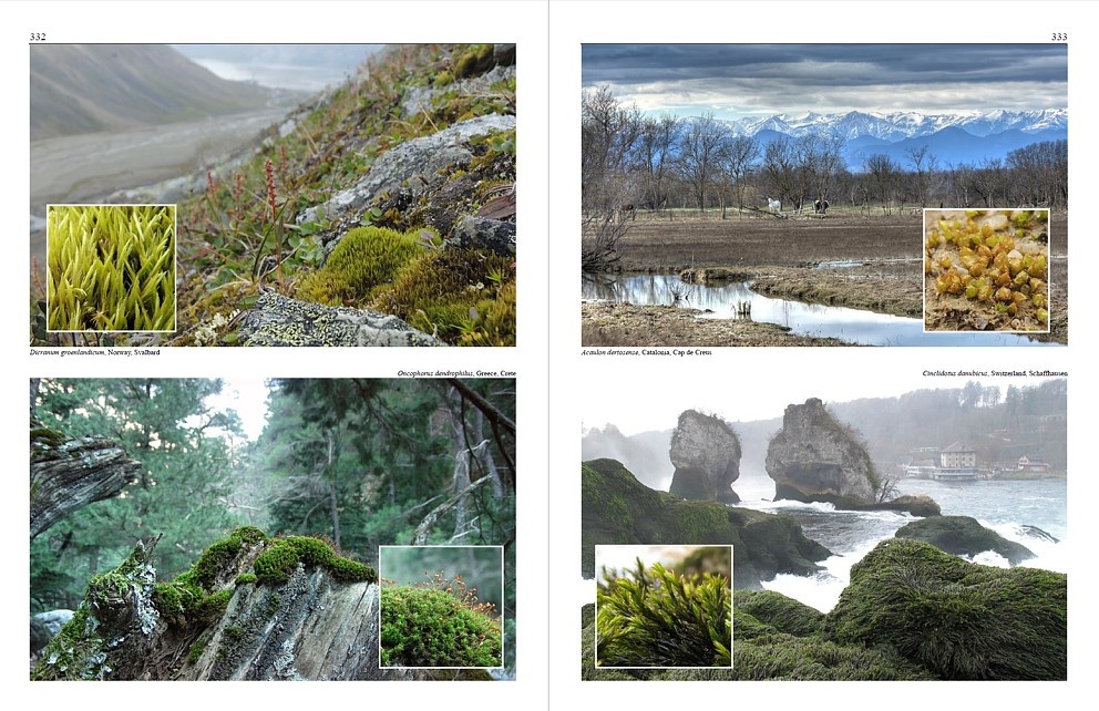 Mosses of Europe - A Photographic Flora (3-Volume Set)