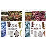 Mosses of Europe - A Photographic Flora (3-Volume Set)