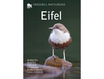Crossbill Natuurgids Eifel - Duitsland