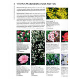 Welke plant waar - De ultieme plantenencyclopedie