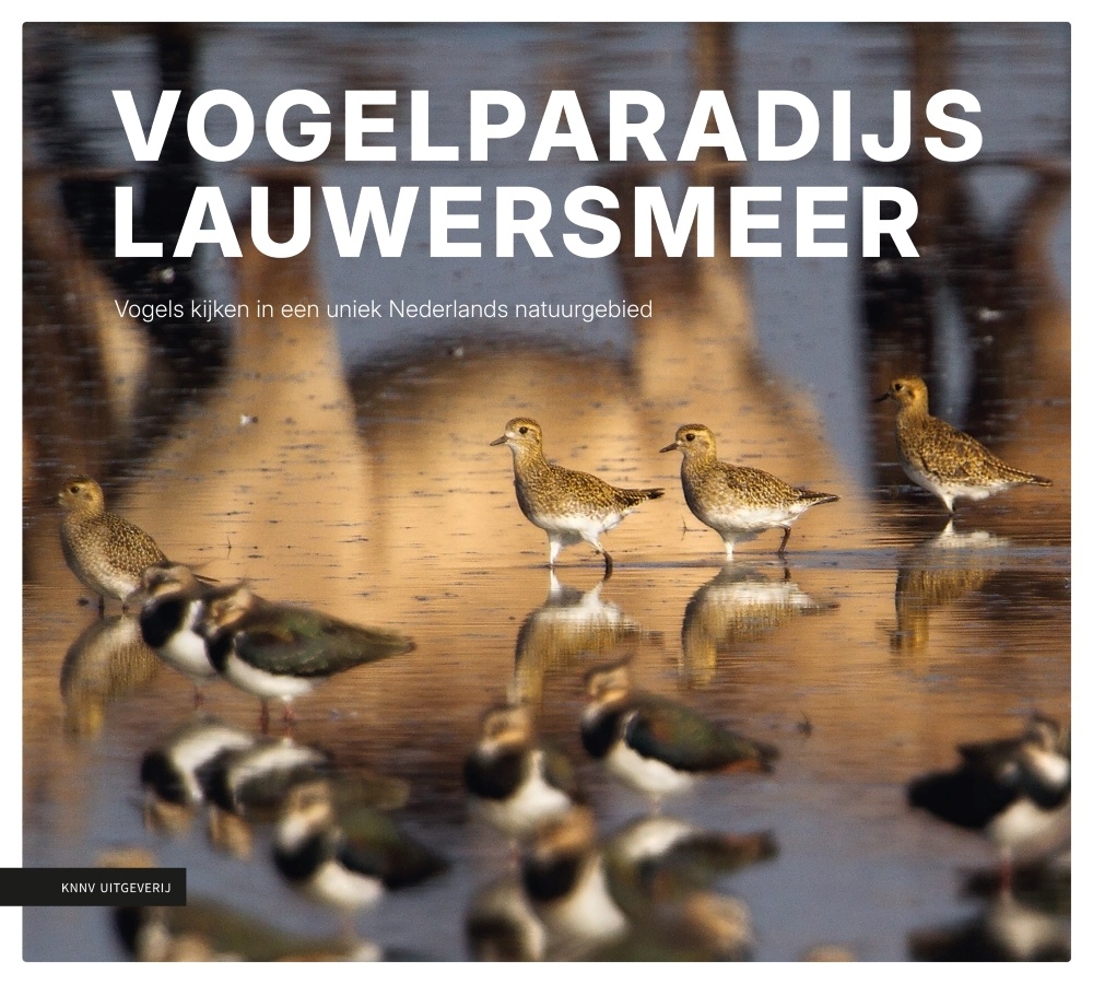 Vogelparadijs Lauwersmeer - Vogels kijken in een uniek Nederlands natuurgebied