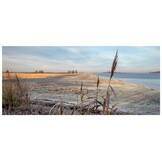 Vogelparadijs Lauwersmeer - Vogels kijken in een uniek Nederlands natuurgebied