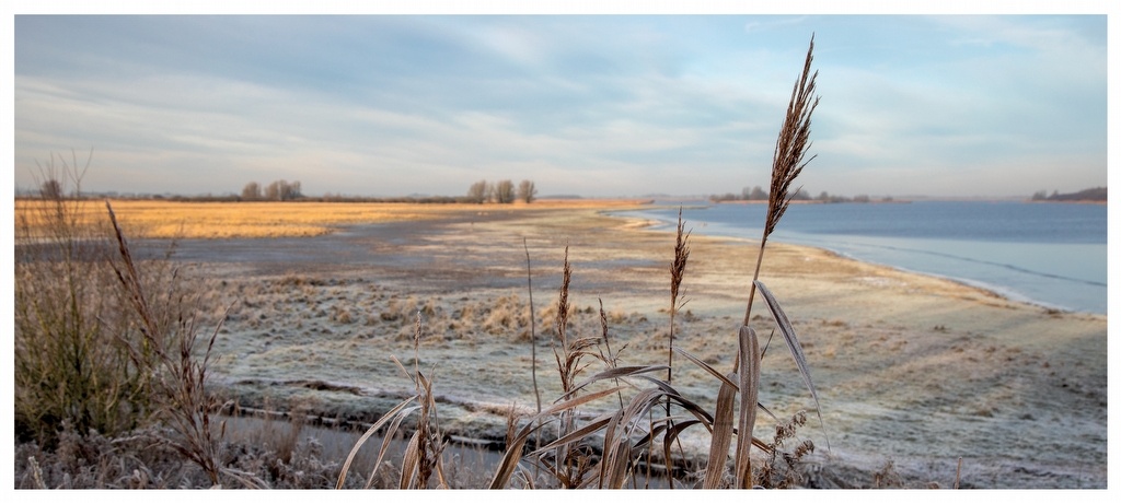 Vogelparadijs Lauwersmeer - Vogels kijken in een uniek Nederlands natuurgebied