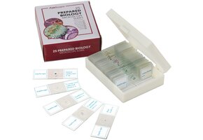 AmScope 25 Glass Prepared Microscope Slides