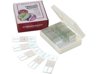 AmScope 25 Glass Prepared Microscope Slides