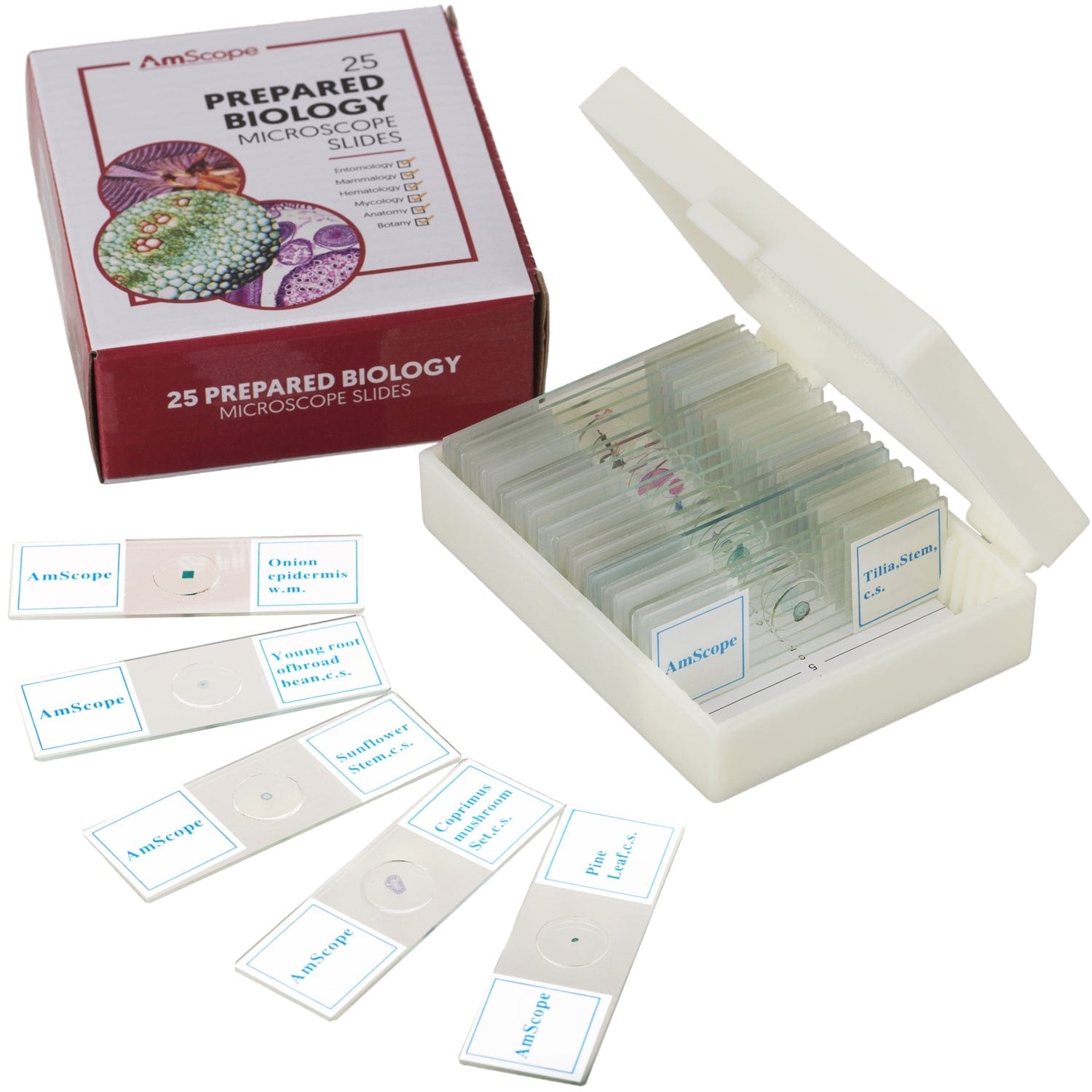 AmScope 25 geprepareerde objectglaasjes
