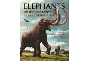 Elephants and Their Fossil Relatives - A 60 Million Year Journey