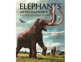 Elephants and Their Fossil Relatives - A 60 Million Year Journey
