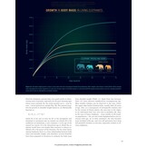 Elephants and Their Fossil Relatives - A 60 Million Year Journey
