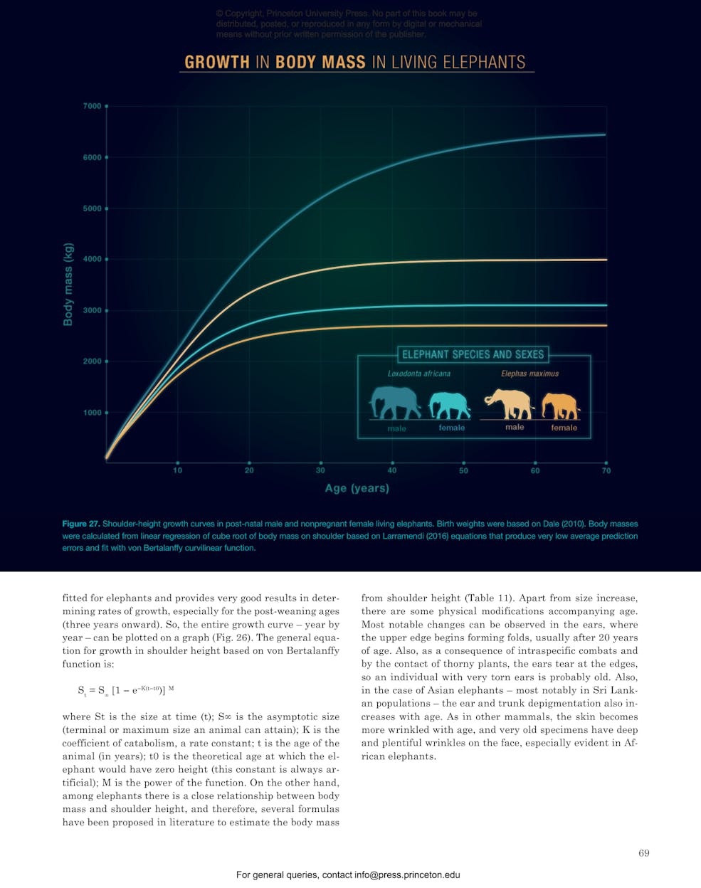 Elephants and Their Fossil Relatives - A 60 Million Year Journey