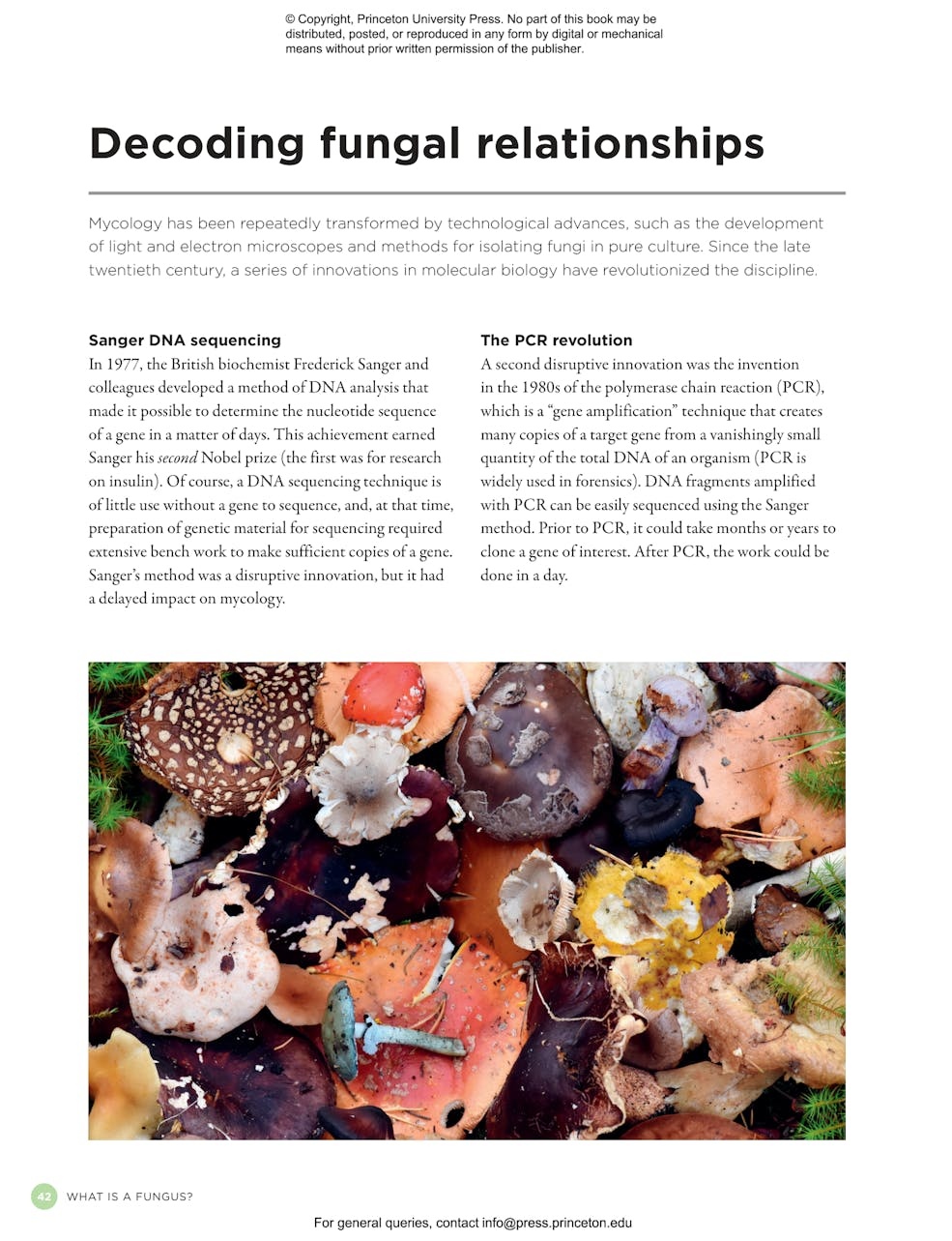 The Complete Fungi - Evolution, Diversity and Ecology