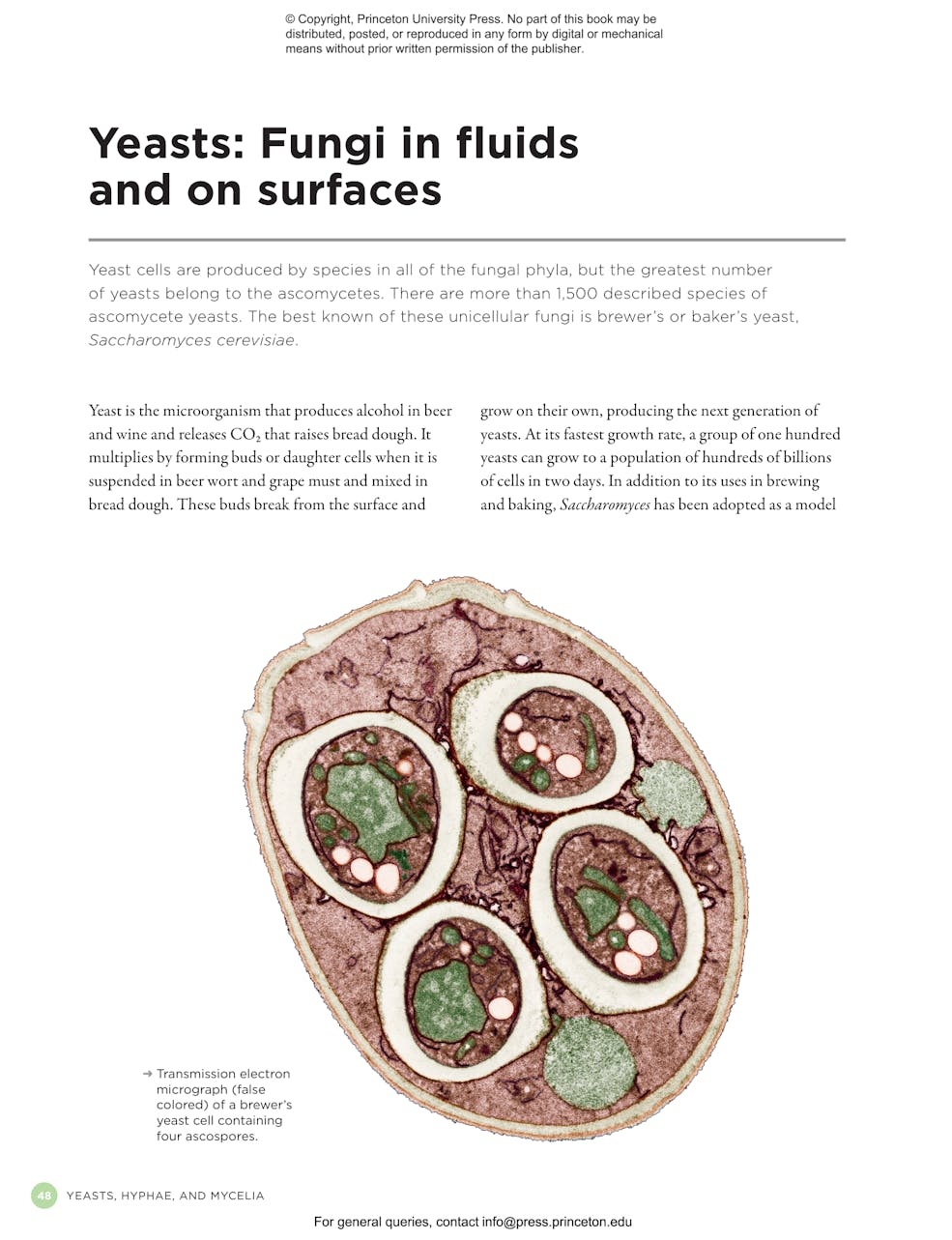 The Complete Fungi - Evolution, Diversity and Ecology