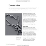 The Complete Fungi - Evolution, Diversity and Ecology
