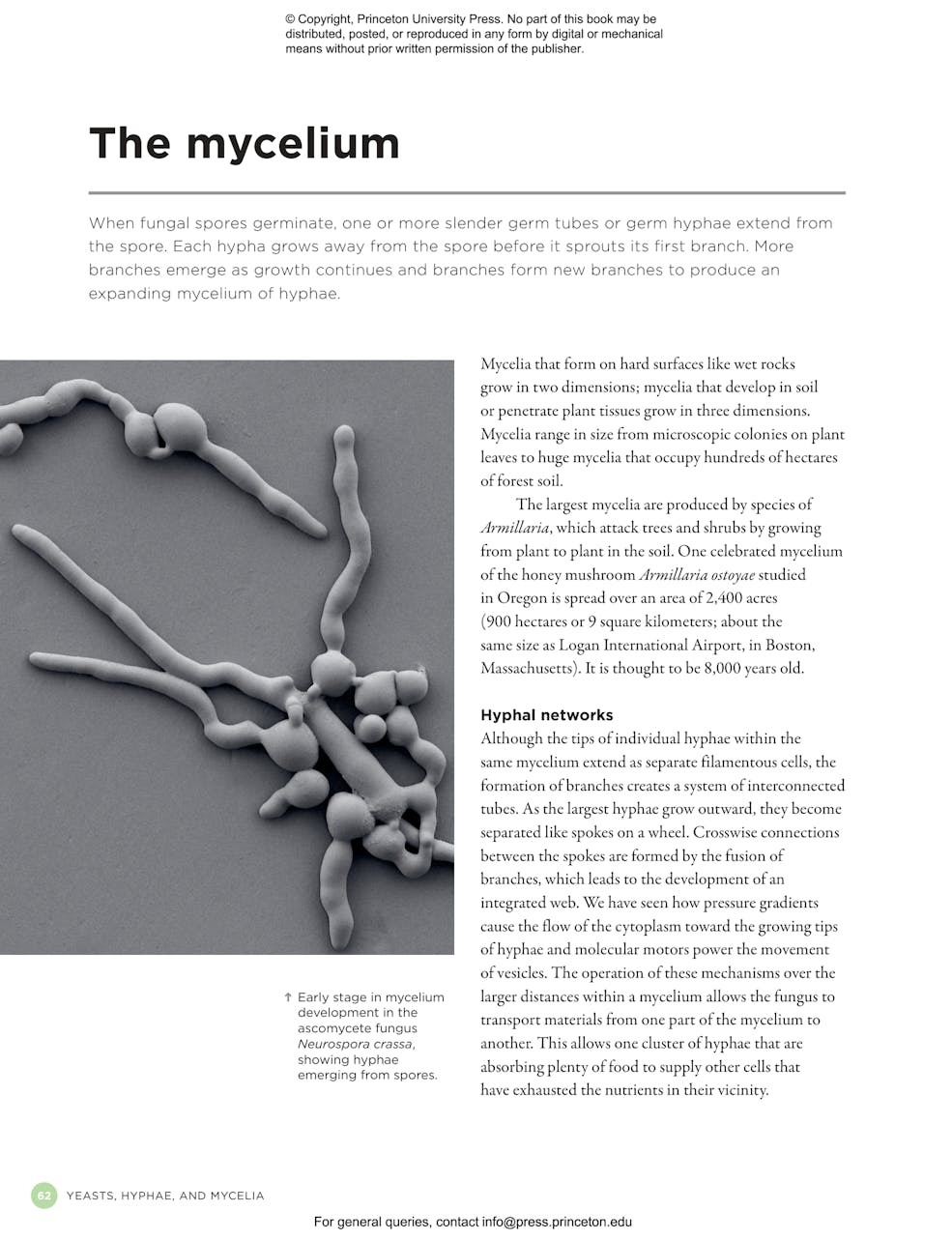 The Complete Fungi - Evolution, Diversity and Ecology