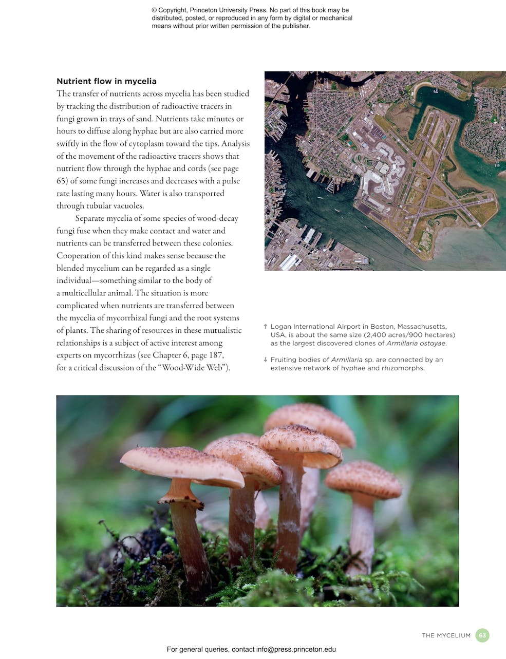The Complete Fungi - Evolution, Diversity and Ecology