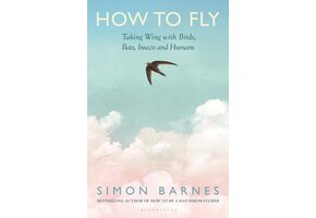 How to Fly