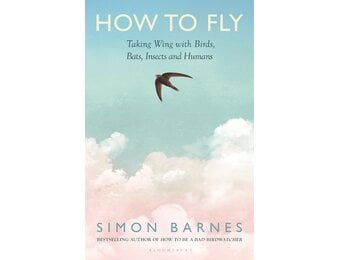 How to Fly