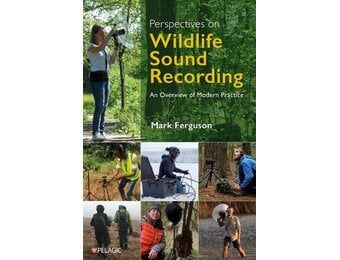Perspectives on Wildlife Sound Recording