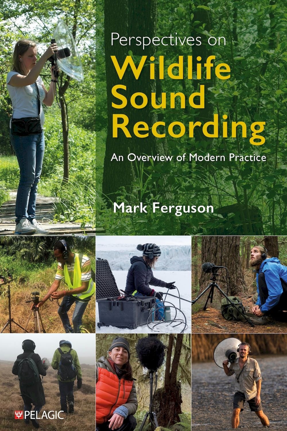 Perspectives on Wildlife Sound Recording - An Overview of Modern Practice