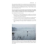 Perspectives on Wildlife Sound Recording - An Overview of Modern Practice