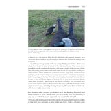 Perspectives on Wildlife Sound Recording - An Overview of Modern Practice