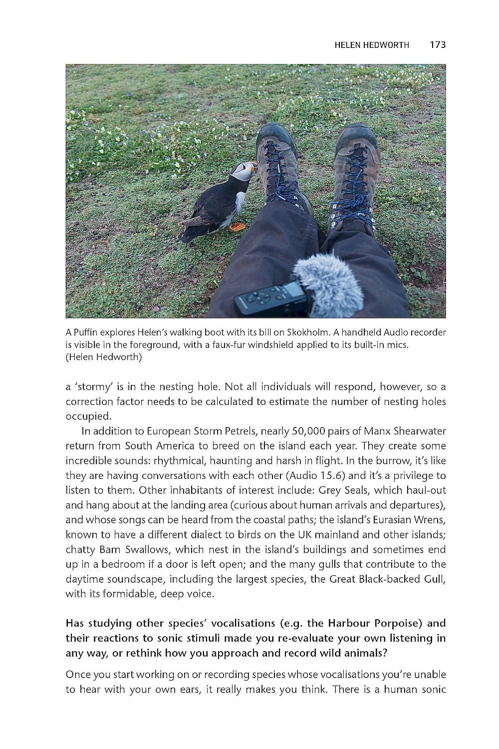 Perspectives on Wildlife Sound Recording - An Overview of Modern Practice