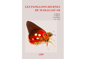 Les Papillons Diurnes du Madagascar