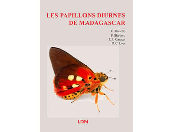 Les Papillons Diurnes du Madagascar