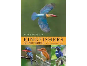 Kingfishers of the World