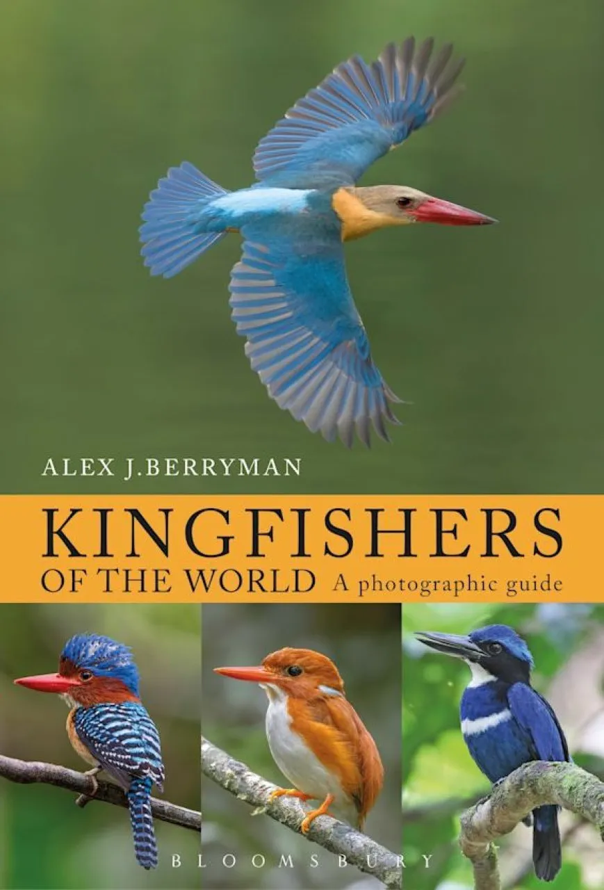 Kingfishers of the World - A Photographic Guide