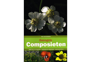 Basisgids Composieten