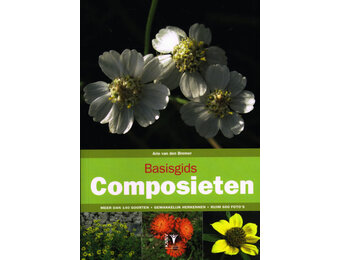 Basisgids Composieten