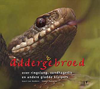 Addergebroed - over ringslang, zandhagedis en andere gladde kruipers