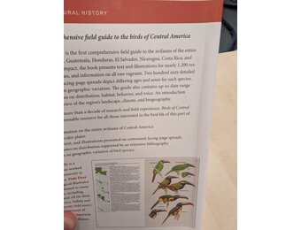Beschadigd exemplaar - Birds of Central America